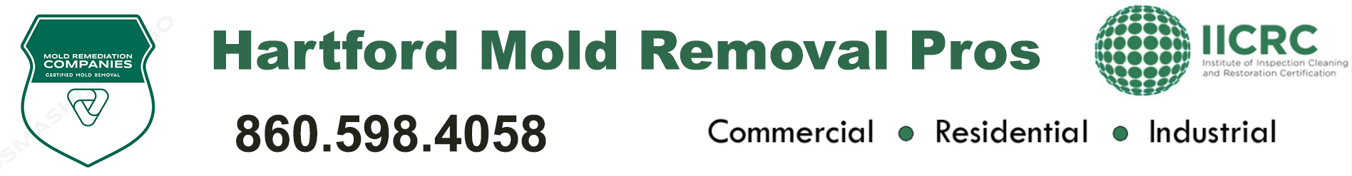 Hartford Mold Removal Pros