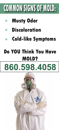 Hartford Mold Remediation Contractor